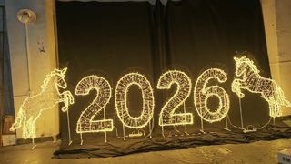 Custom Luxury Stainless Steel Sculptures