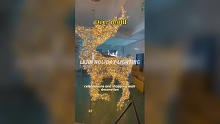 Marine Grade Stainless Steel Sculpture Customizations