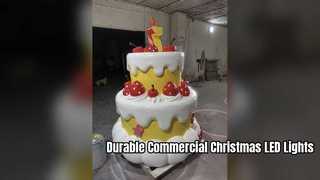 Commercial Grade Christmas LED Lights for Festive Displays