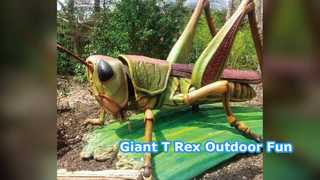 Giant T Rex Lantern Outdoor Adventure