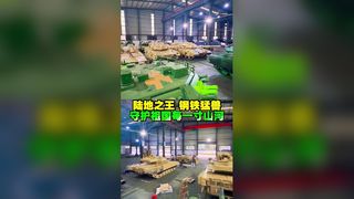 Life-Sized T Rex Lantern Festival Attraction