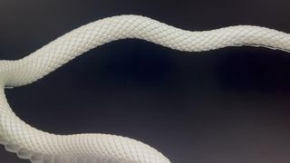 Luxury Garden Sculptures Stainless Steel Art