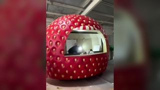 Marine Grade Stainless Steel Sculptures For Children