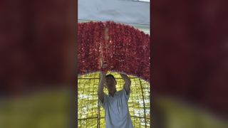 Luxury Stainless Steel Sculptures for Your Gardens