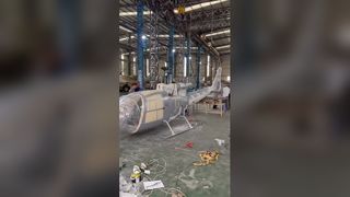 Custom Aircraft Model OEM Service Real Plane Replica Video